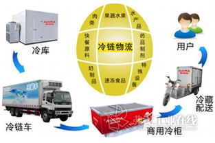 國內外聯動打造北方食品冷鏈物流集散中心，優化供應鏈管理服務